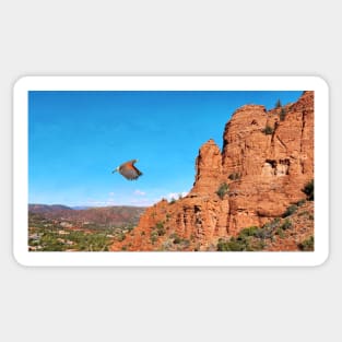 Red Shouldered Hawk in Sedona Arizona Sticker